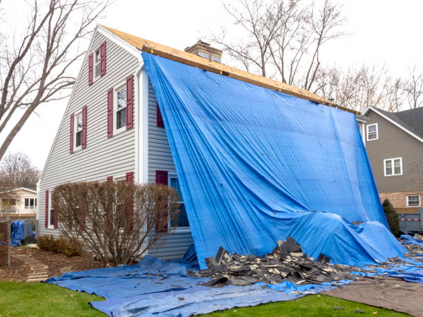Best Aluminum Siding Installation  in Mason Neck, VA